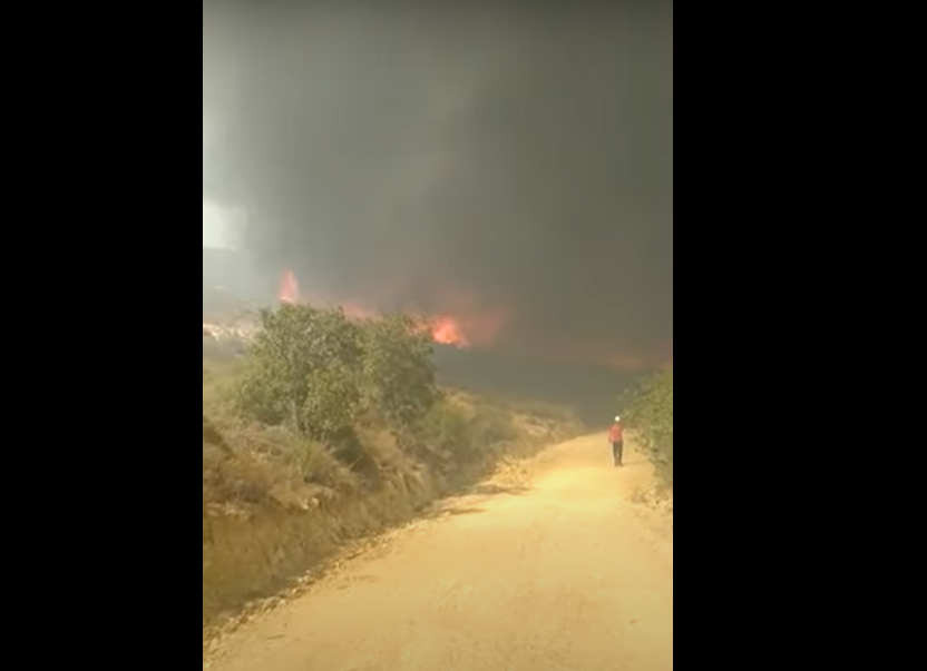 Bodrum Dereköy Gümüşlük’te yangın büyüyor