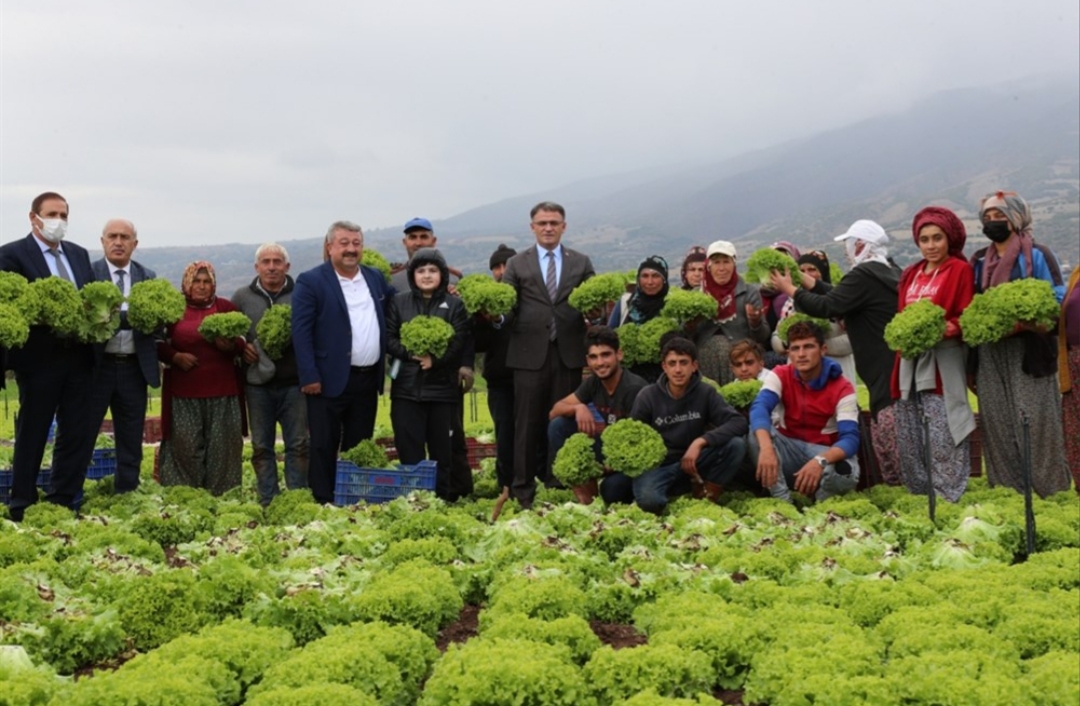Tokat Seracılığı ve Sebze Tarımında Yeni Ufuklar Konulu Tarla Günü Düzenlendi