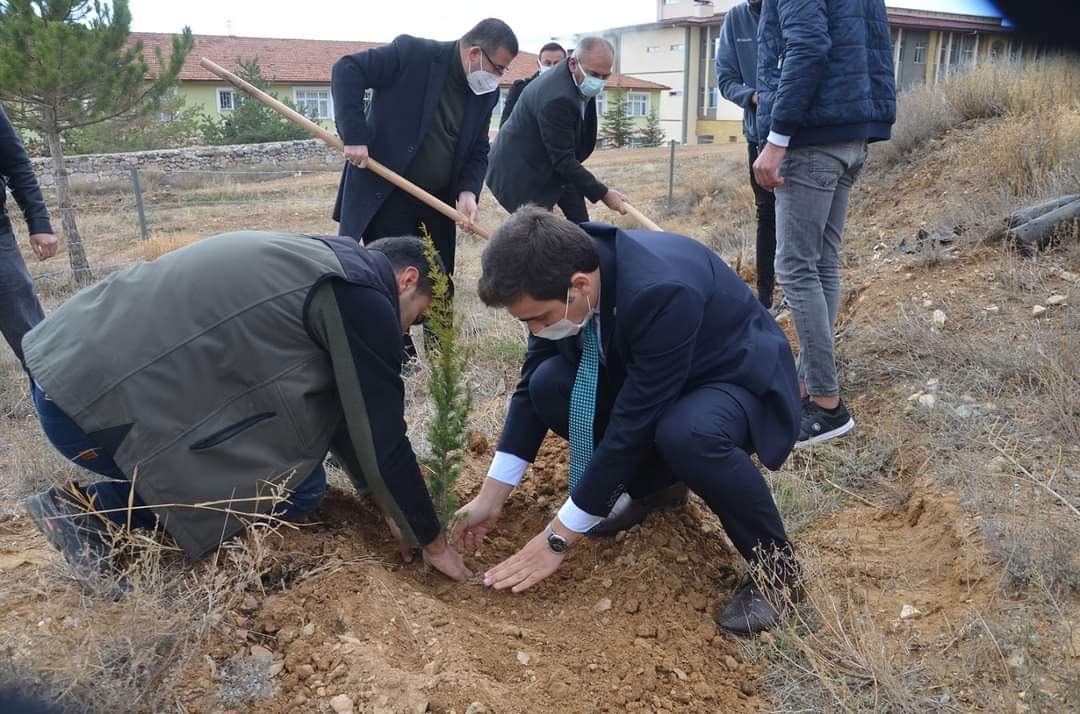 ÇEKEREK’TE 11 KASIM MİLLİ AĞAÇLANDIRMA GÜNÜ DOLAYISIYLA FİDAN DİKİM ETKİNLİĞİ GERÇEKLEŞTİRİLDİ