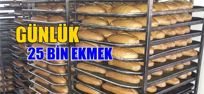 Tarsus Belediye Ekmek Fabrikası günlük 25 bin ekmek üretiyor