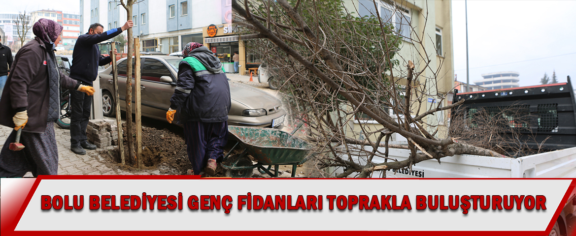 BOLU BELEDİYESİ GENÇ FİDANLARI TOPRAKLA BULUŞTURUYOR