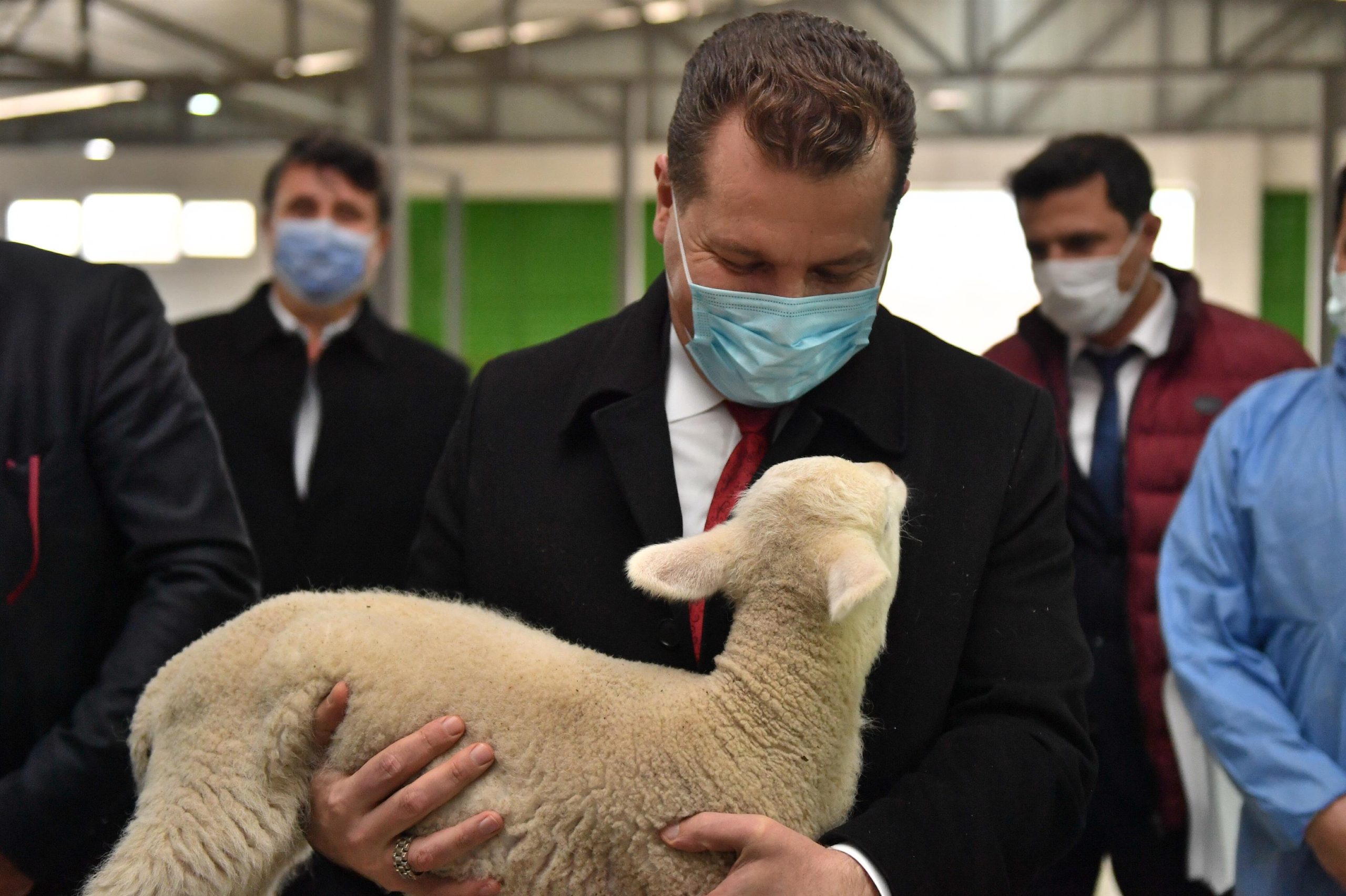 BAŞKAN YILMAZ,BALIKESİR KUZUSU ÜRETİMİ YAYGINLAŞTIRILIYOR