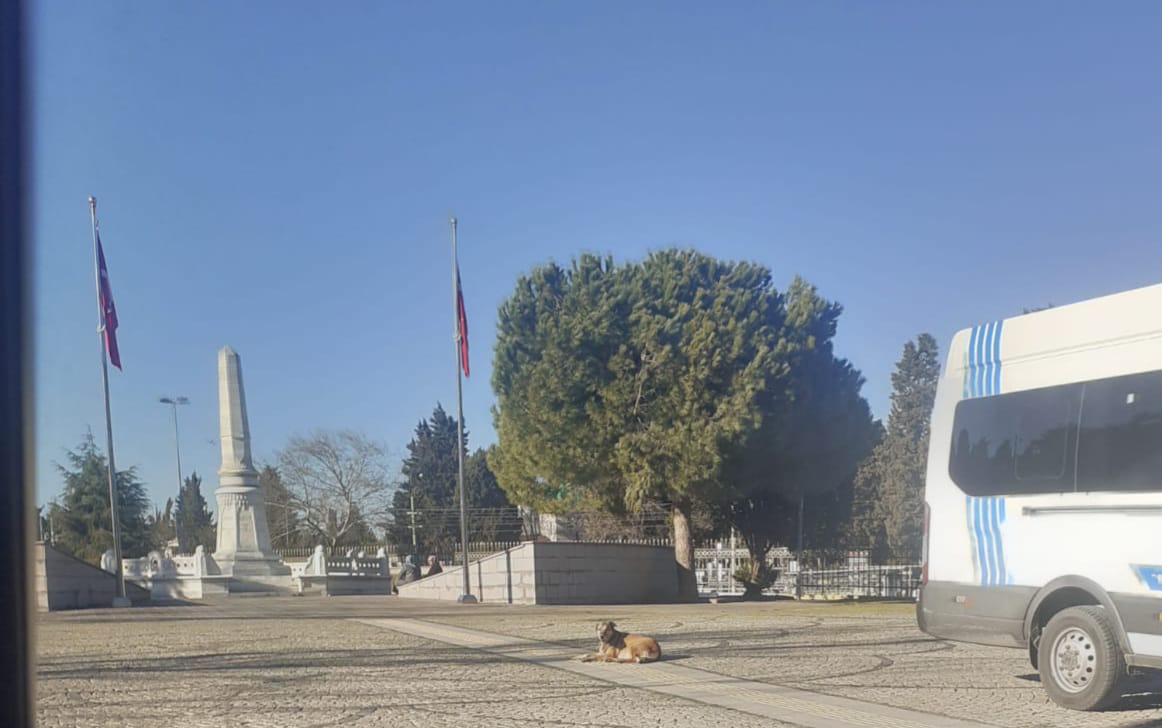 ŞEHİT ANNESİ DEVLET YETKİLİLERİNE SESLENDİ, BU REZALETE SON VERİLSİN?