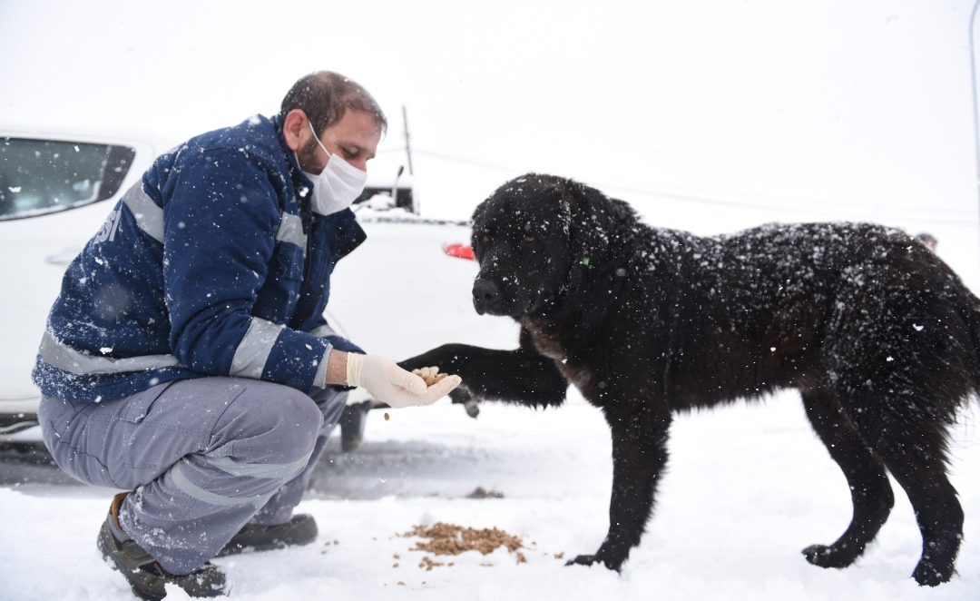 TUZLA BELEDİYESİ EKİPLERİ 63 ARAÇ VE 450 PERSONEL İLE KARLA MÜCADELE ÇALIŞMALARINI SÜRDÜRÜYOR