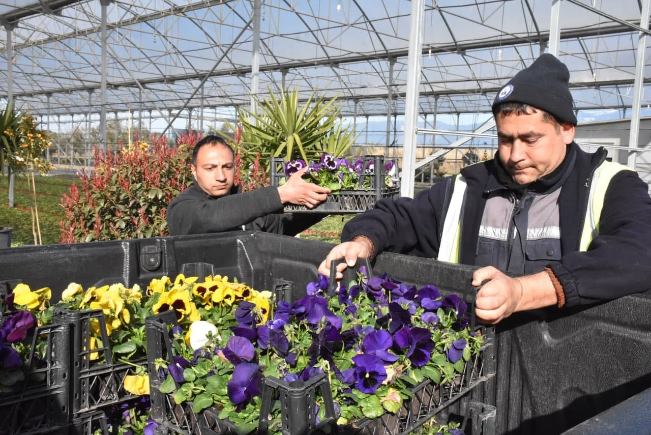 EDREMİT BELEDİYESİ ŞEHİTLERİNİ UNUTMUYOR, ŞEHİTLİKLERE BAKIM YAPILDI