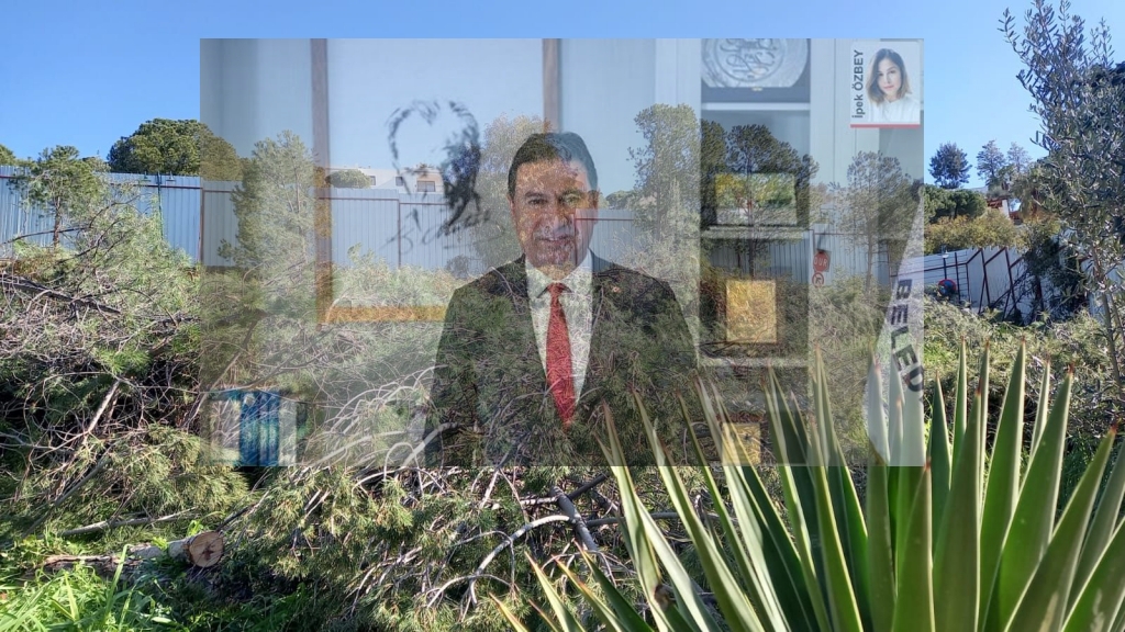 BAŞKAN ARAS, BODRUM`DAKİ HAZİNE ARAZİSİ TALANINA DİKKAT ÇEKTİ: BU TAMAMEN İHANETTİR