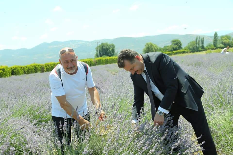 Balıkesir Büyükşehir Belediye Başkanı Yücel Yılmaz ve İstanbul Medya Başkanı Ali Rıza Yıldız ile birlikte hasat yaptı