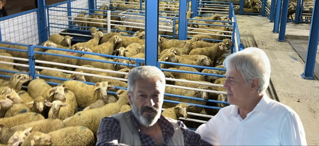 ÜNLÜ İLÇE SUSURLUK’TA HAYVAN PAZARINDA YÜZLER GÜLÜYOR