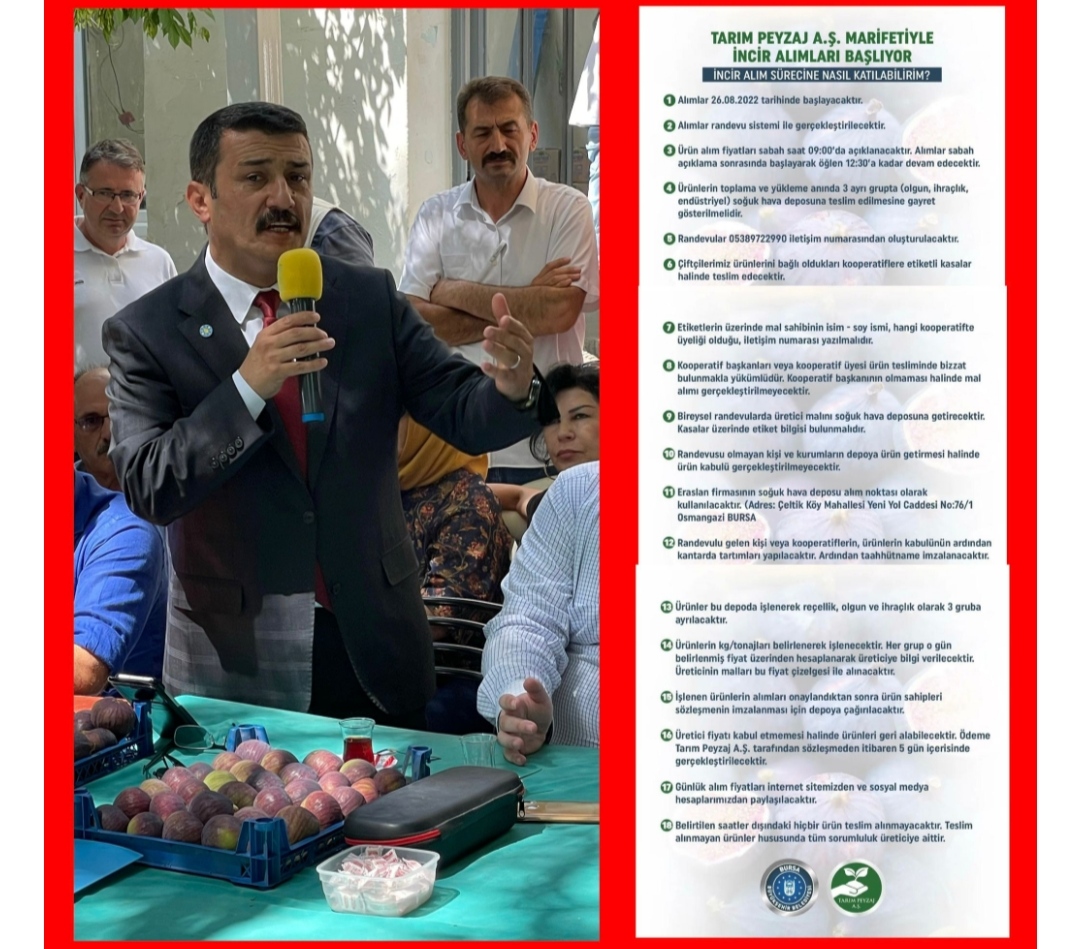 İYİ Parti’nin Bursa’daki incir eylemi de ses getirdi: Tarım AŞ alımlara başlıyor.