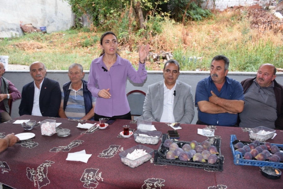 SİYAH İNCİR ÜRETİCİSİ İSYANDA