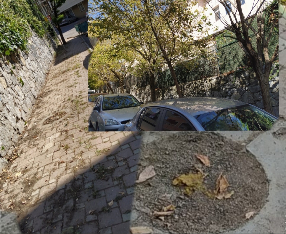 Çekmeköy Belediyesi Nesrin Uçmaklıoğlu Kız Meslek Lisesi kenarında bulunan ağaçları kesti 