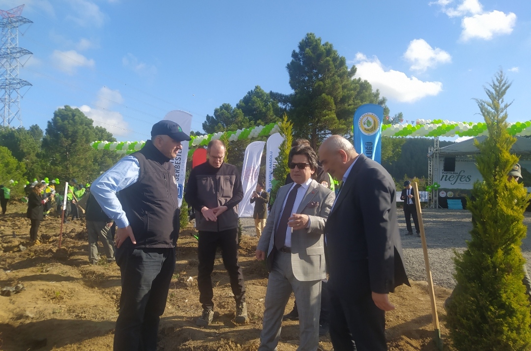 İstanbul Anadolu Cumhuriyet Başsavcılığı Denetimli Serbestlik Müdürlüğü Beykoz’da Fidan dikimi yaptı