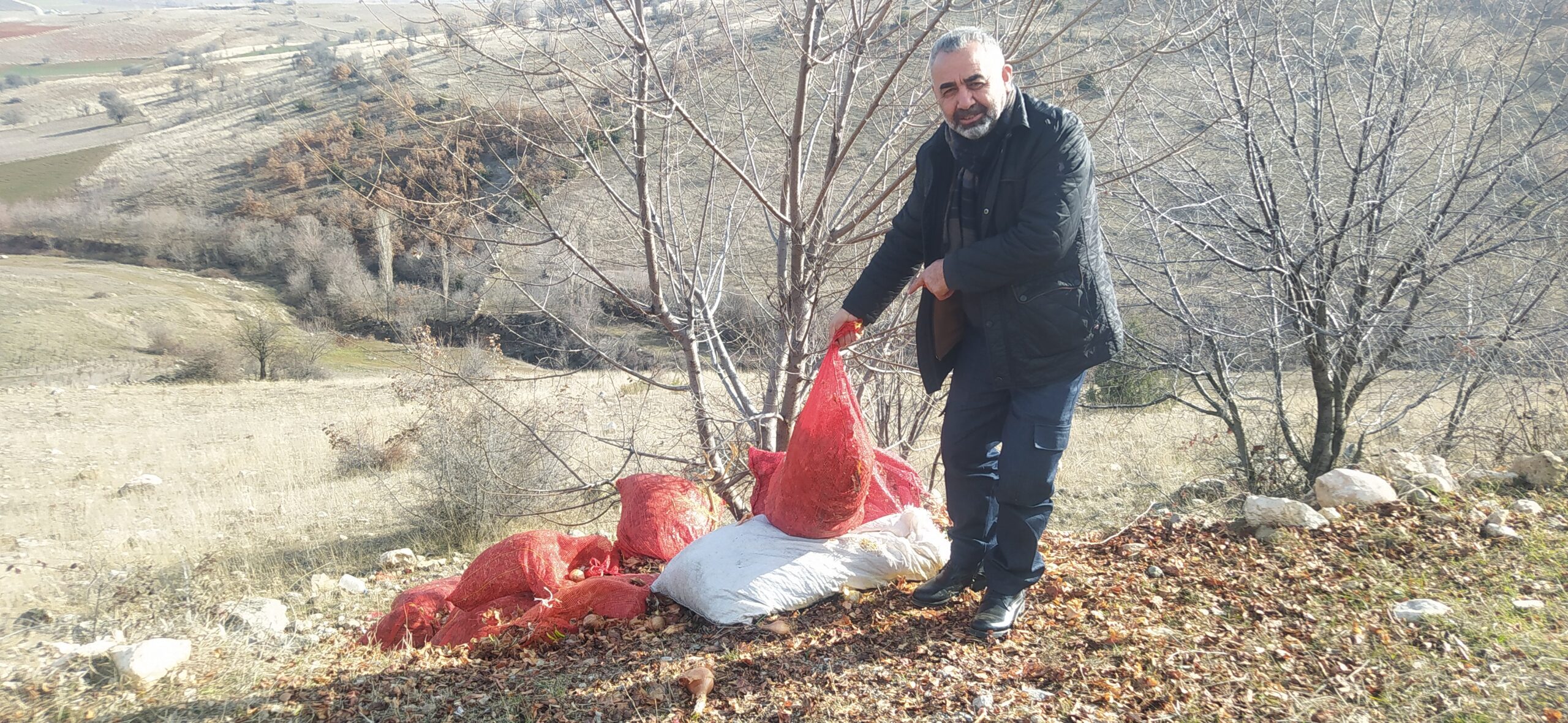 Zile Derekışla Köyünde, Tonlarca soğanı çöpe döktüler