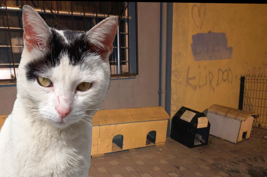 Çekmeköy Belediyesinin yapamadığını www.habermax.com.tr yaptı