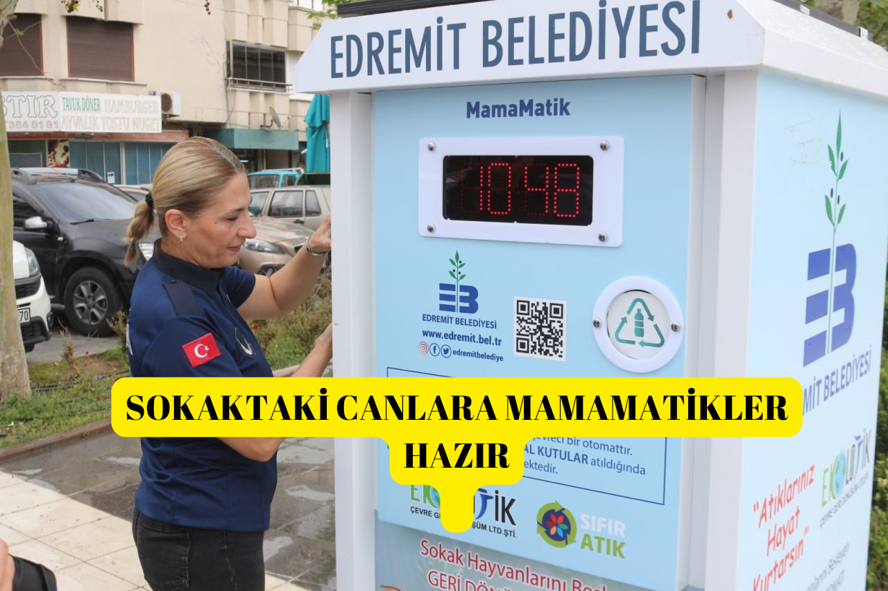 SOKAKTAKİ CANLARA MAMAMATİKLER HAZIR