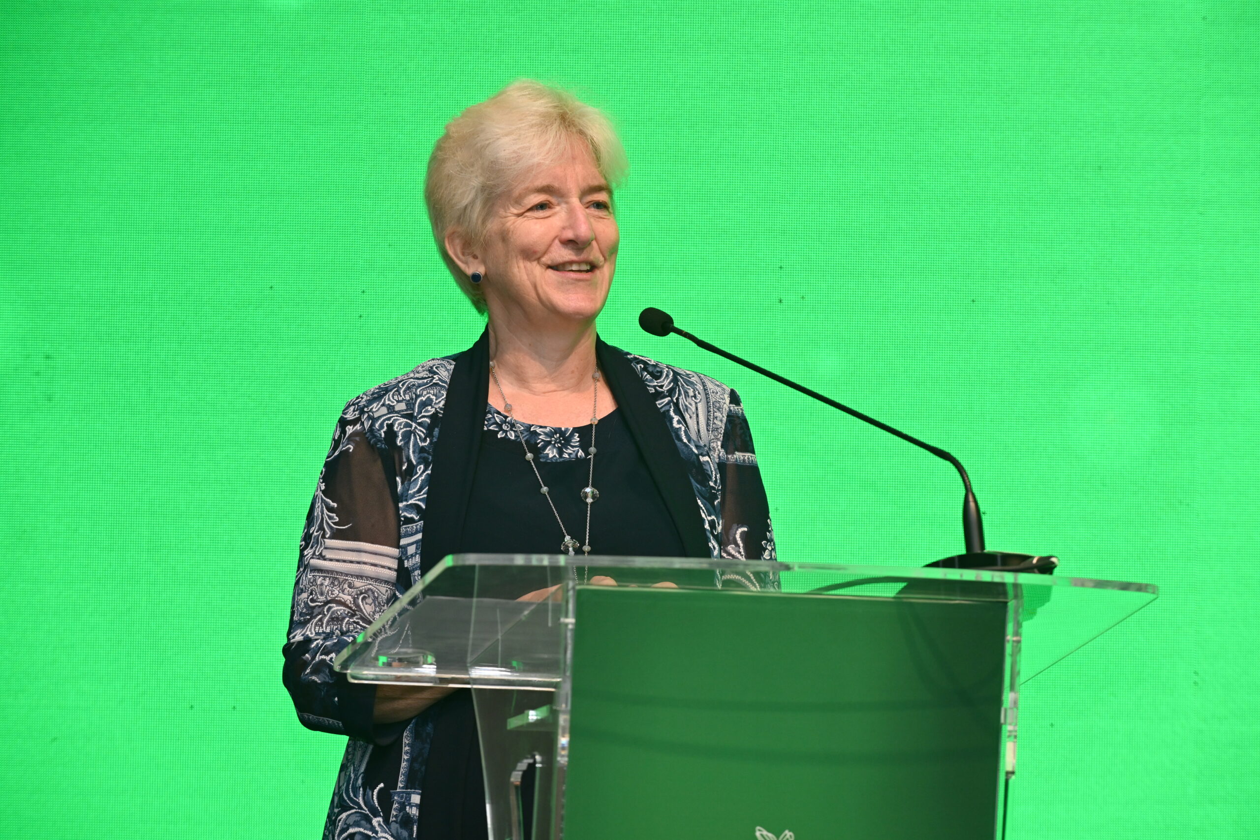 Türkiye’deki iş dünyası liderleri “yeşil dönüşüm”ü sahipleniyor, CEO’lara yönelik iklim zirvesi, karbonsuzlaştırma diyaloğunu hızlandırıyor