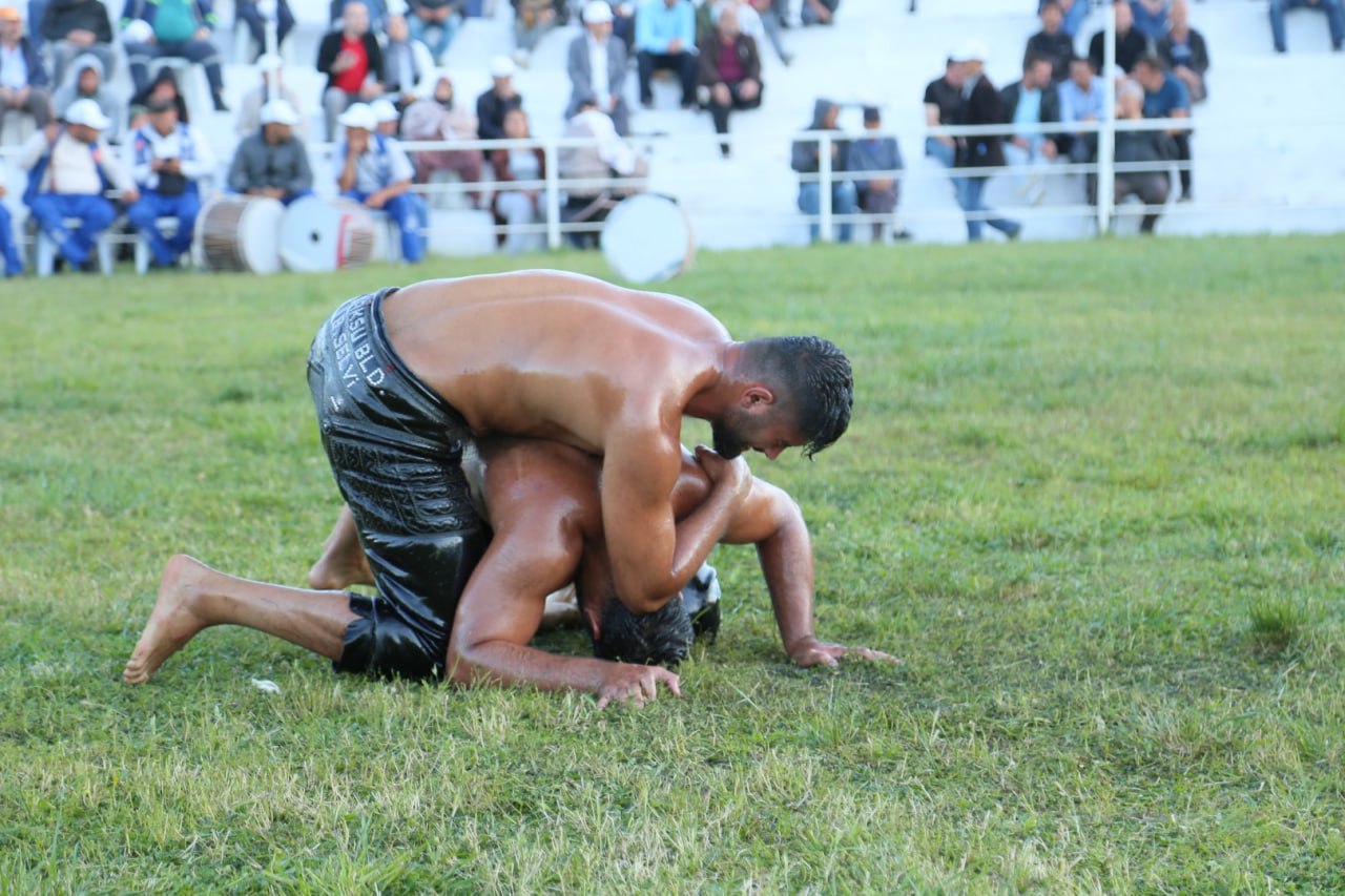 Edremit’te 500 pehlivan kol bağlayacak 
