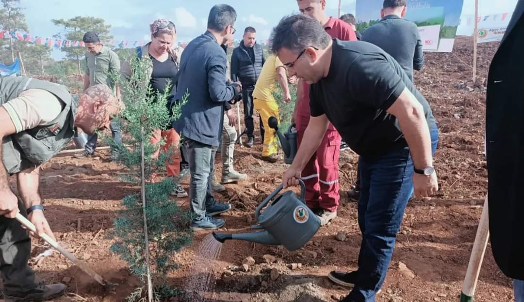 Marmaris’te Büyük Coşkuyla Kutlanan Kasım Milli Ağaçlandırma Günü
