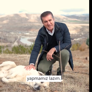 Erzincan Milletvekili: Sokak Hayvanları İçin Seferberlik! Toplumsal Duyarlılık ve Çözüm Önerileri”