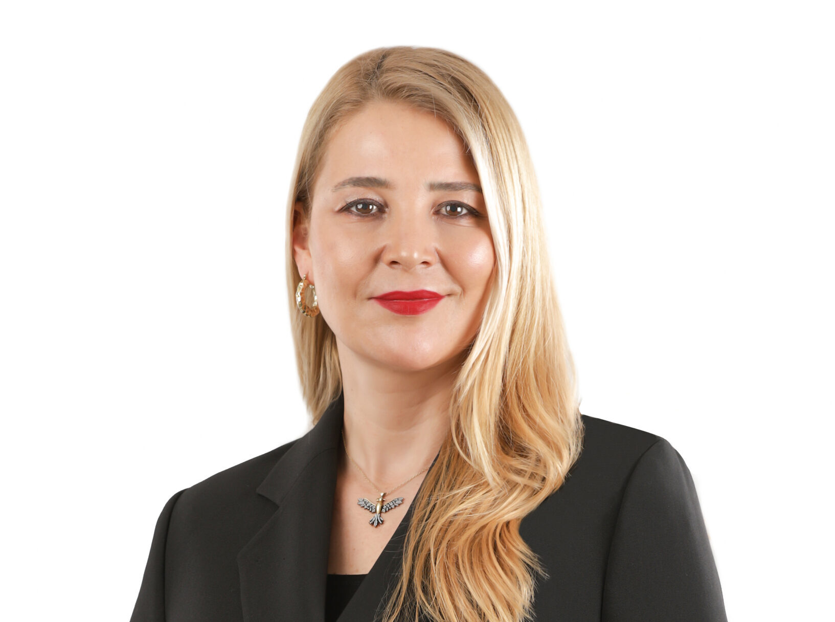 DOSABSİAD BAŞKANI NİLÜFER ÇEVİKEL: 