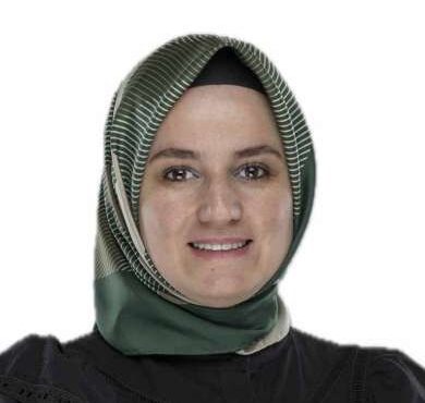 AK Parti İstanbul İl Kadın Kolları Başkan Yardımcısı Fatma Sevim Baltacı, geçirdiği trafik kazası sonucunda yaşamını yitirdi.