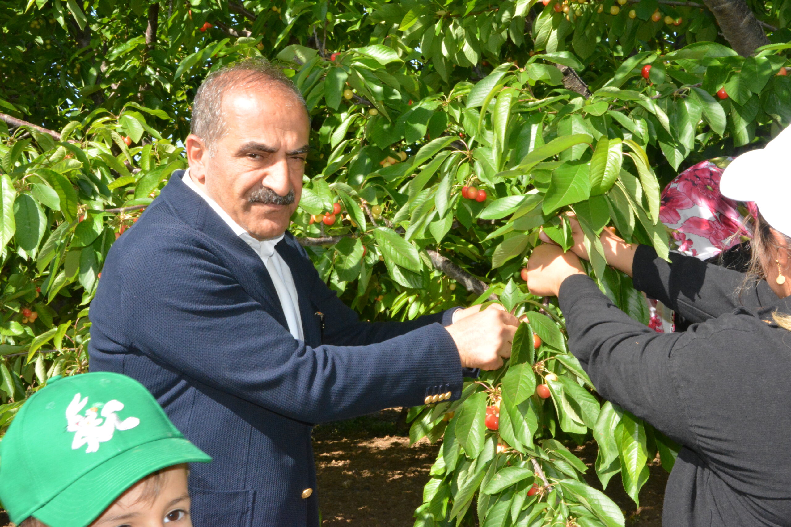 Kirazdaki ihracat hedefi 300 milyon dolara yükseldi