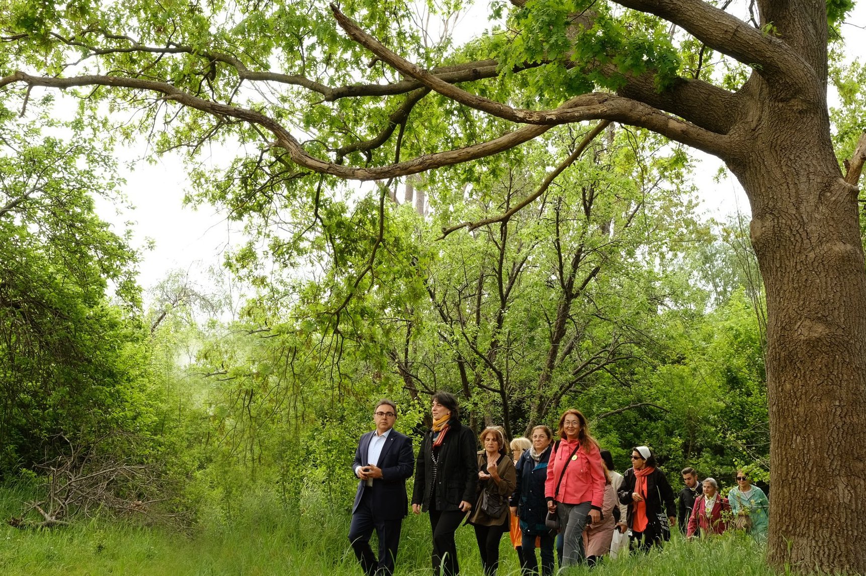 Validebağ Korusu Yeşil Alan Olarak Korunacak: Üsküdar Belediye Başkanı ve İBB Yetkilisinden Açıklama