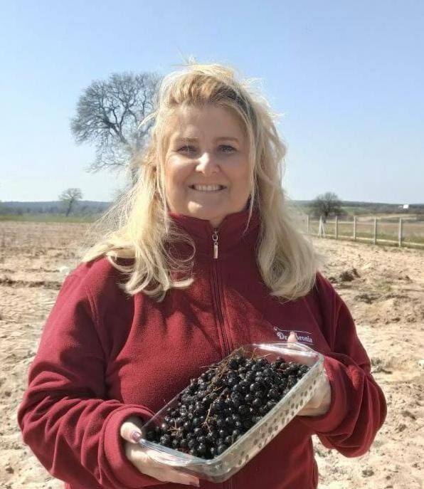 Eleman Sıkıntısı Nedeniyle Hasat Edilemeyen Mahsuller Yalnızlığa Sürükleniyor  Köylerde Genç Nüfus Azalıyor, Tarım Sektörü Alarm Veriyor