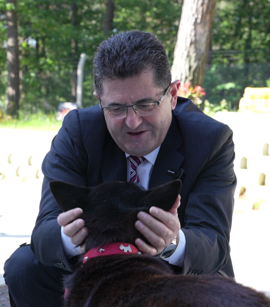 Çekmeköy Belediyesi Yaralı Köpek Lokum’a Sahip Çıktı