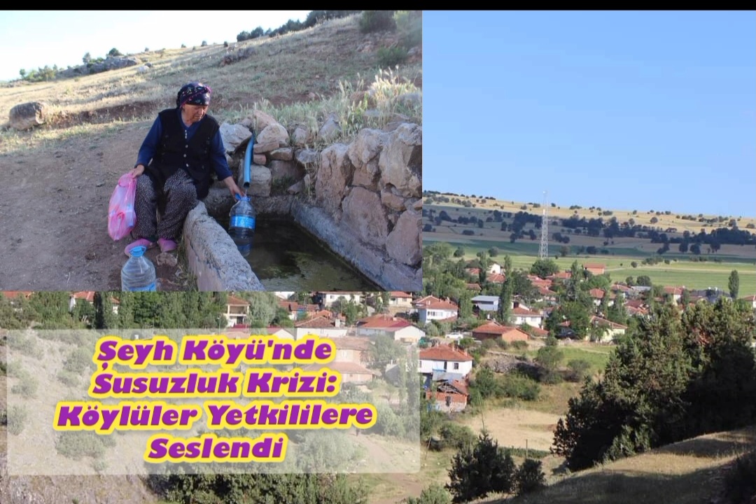 Şeyh Köyü’nde Susuzluk Krizi: Köylüler Yetkililere Seslendi