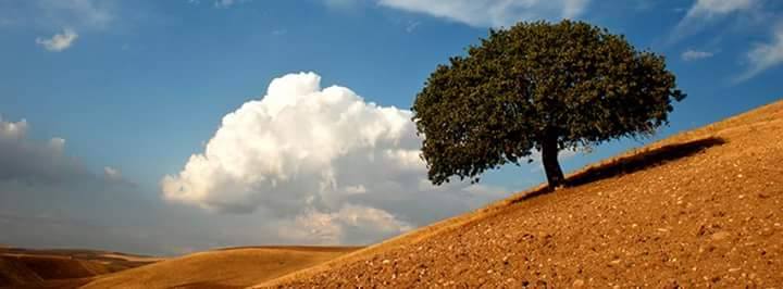 Suç bizde, sorumluluk da bizde…