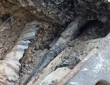 Gdz Elektrik’ten İzmir’deki Trajik Olay Hakkında Açıklama