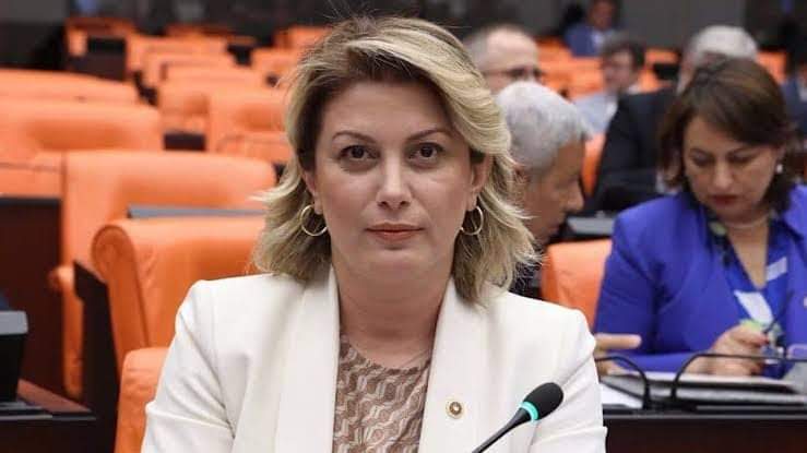 CHP Kadın Kolu Başkanlığına,  Aysu Kaya Seçildi