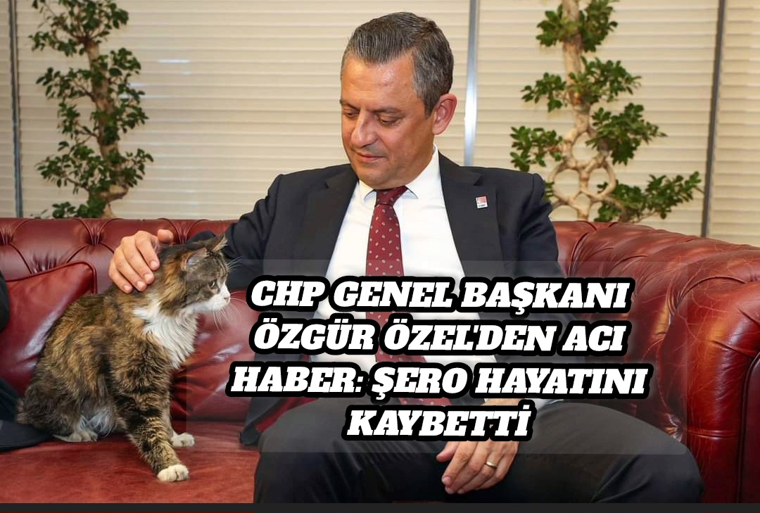 CHP Genel Başkanı Özgür Özel’den Acı Haber: Şero Hayatını Kaybetti