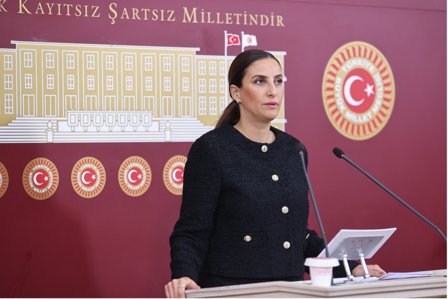 DEVA Partili Rızvanoğlu’ndan iktidara: COP29’a Türkiye’den katılan 1862 kişiden, kaç kişinin parası, bu devletin kasasından çıktı?