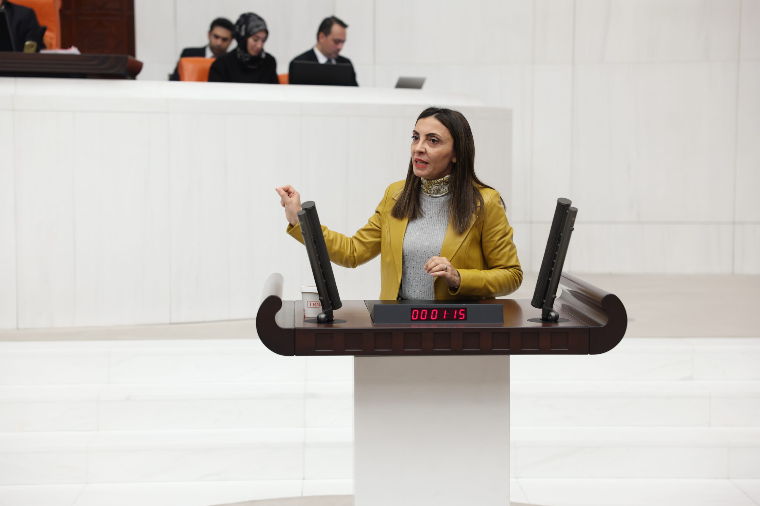 Altaca Kayışoğlu'ndan İktidara ‘Şatafat' Tepkisi: "Halk Açken Milyonlar Lüks Toplantılara Harcanmamalı"