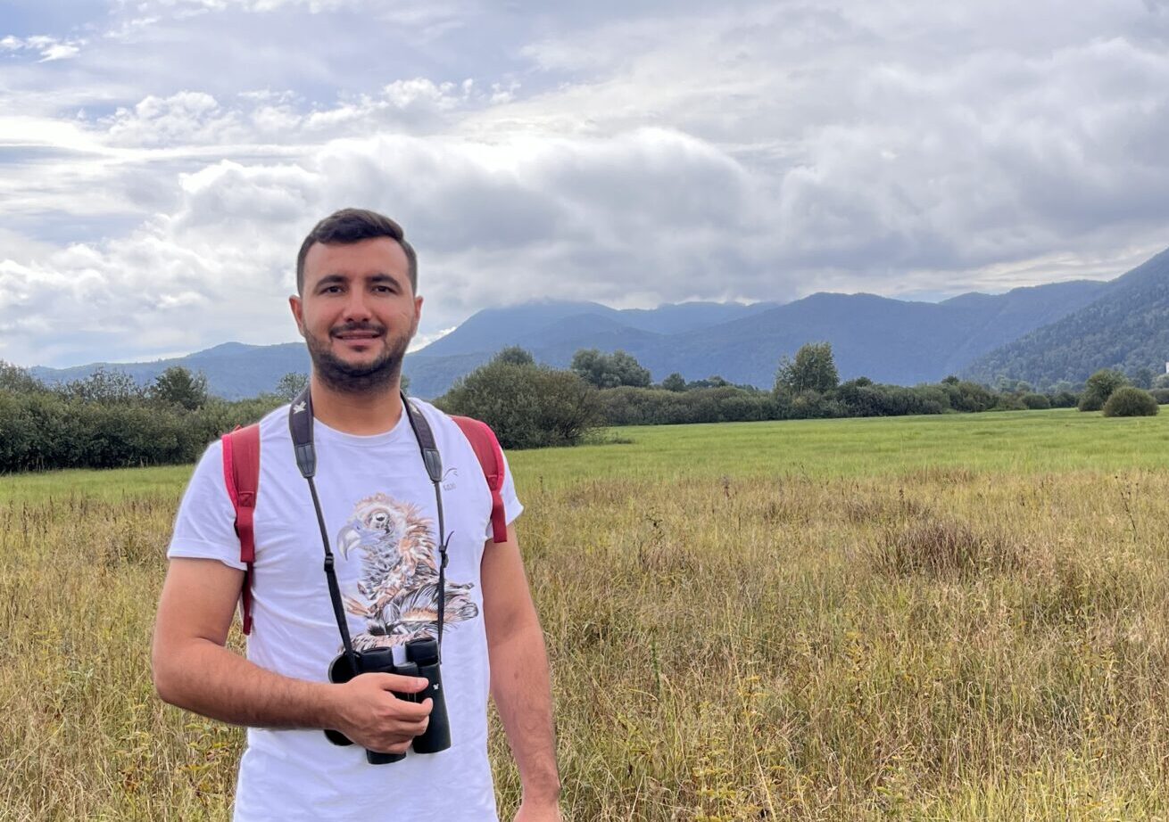 “Avrupa’nın Kurtları Tehlikede: Ekolojik Dengeyi Sarsacak Karar!”