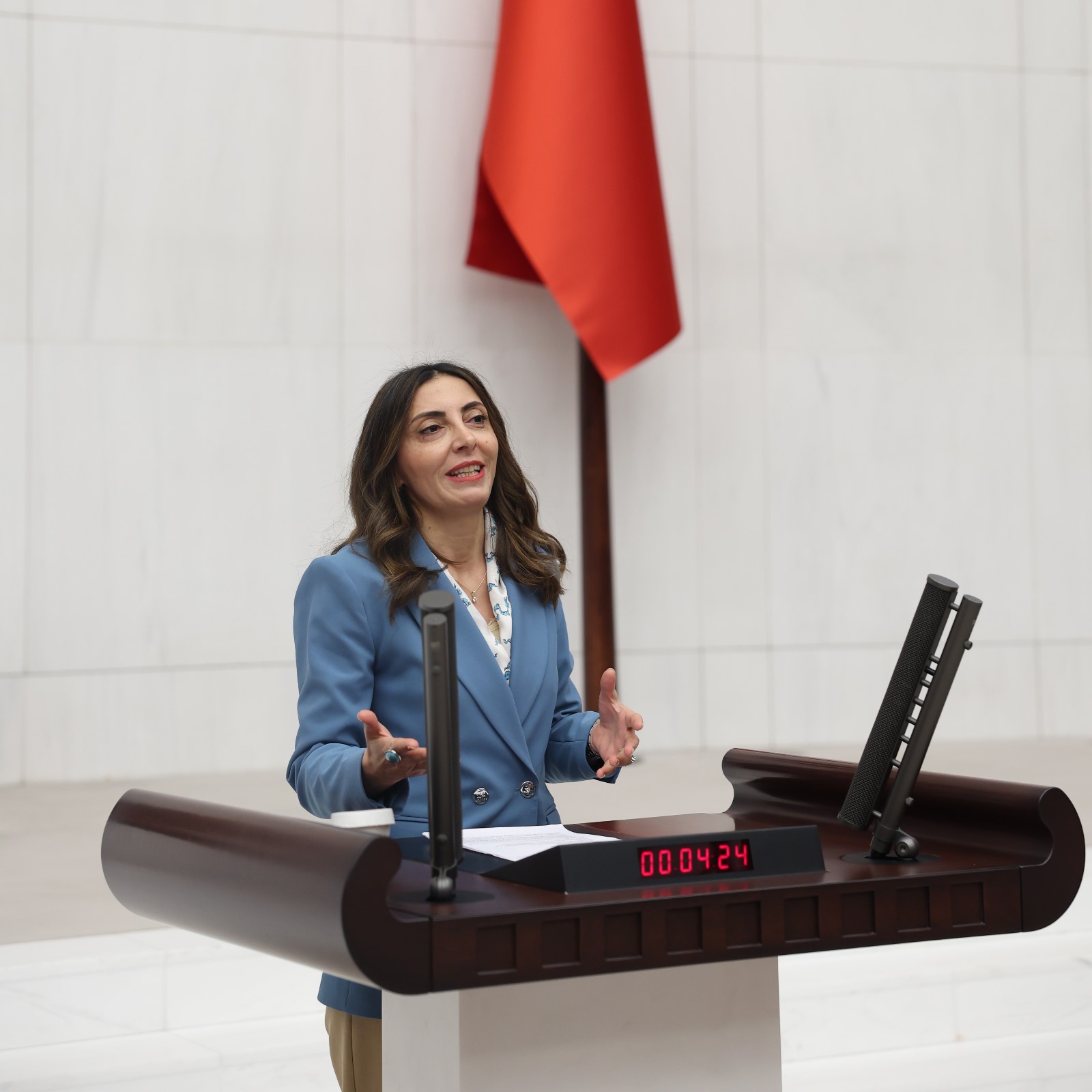 CHP’li Kayışoğlu’ndan Mustafa Bozbey’e Destek: “Halkın İradesi Hedef Alınıyor”