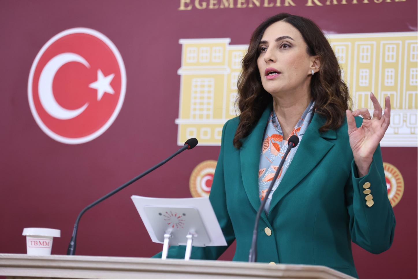 DEVA Partili Rızvanoğlu afetlerle etkin mücadele için TSK bünyesinde "Doğal Felaketlerle Mücadele Kuvvetleri" kurulmasını öngören kanun teklifini TBMM’ye sundu
