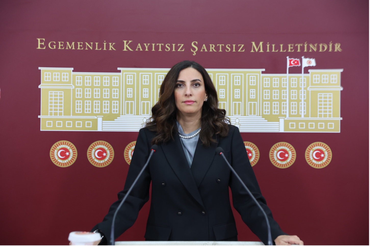 DEVA Partisi'nden İklim Kanunu Teklifine Sert Eleştiriler: Eksiklikler ve Çözüm Önerileri"