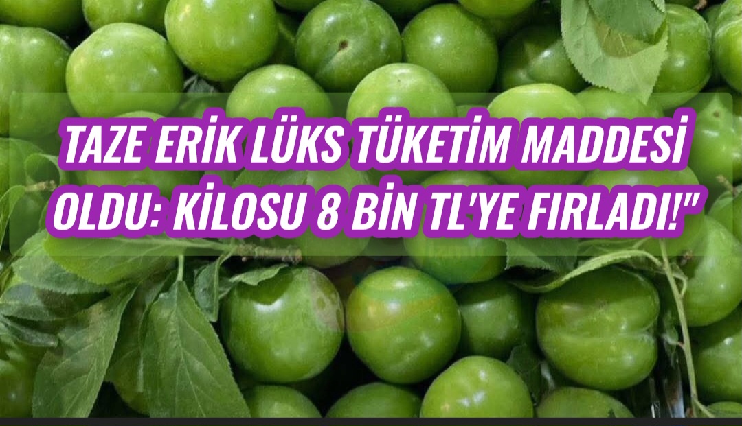 Taze Erik Lüks Tüketim Maddesi Oldu: Kilosu 8 Bin TL’ye Fırladı!”