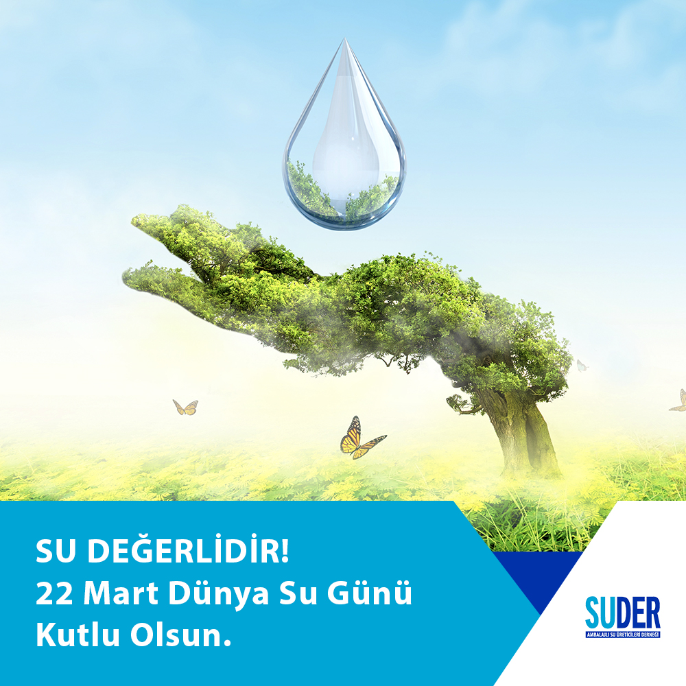 Dünya Su Günü'nde Su Krizine Dikkat: Buzulların Erimesi ve Su Kaynaklarının Korunması Gerekiyor