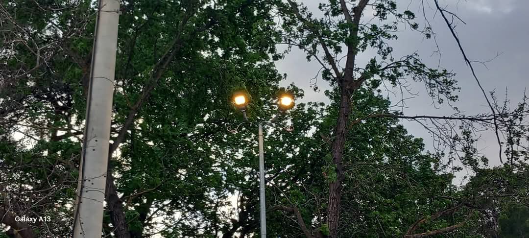Marmaris Hisarönü Tabiat Parkı'nda Gündüz Yanan Aydınlatma Lambaları Tepki Çekti
