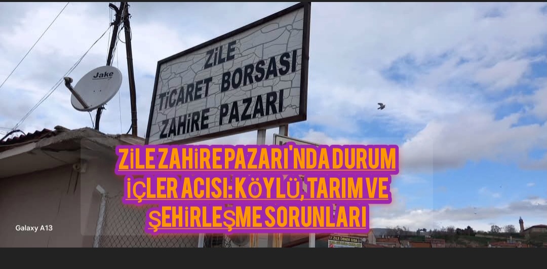 Zile Zahire Pazarı’nda Durum İçler Acısı: Köylü, Tarım ve Şehirleşme Sorunları