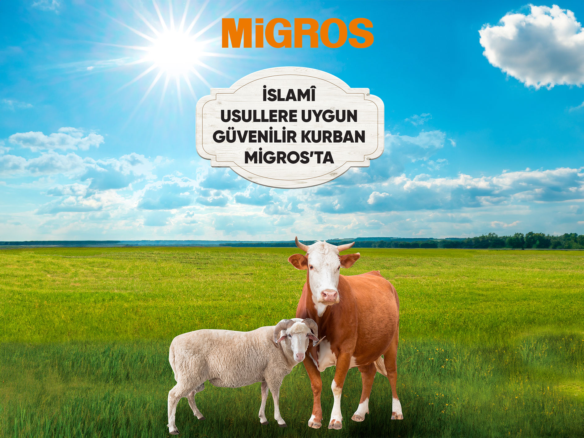 Migros’tan Kurban Bayramı’na Özel: İslami Usullere Uygun, Güvenli ve Uygun Fiyatlı Kurbanlık Seçenekleri