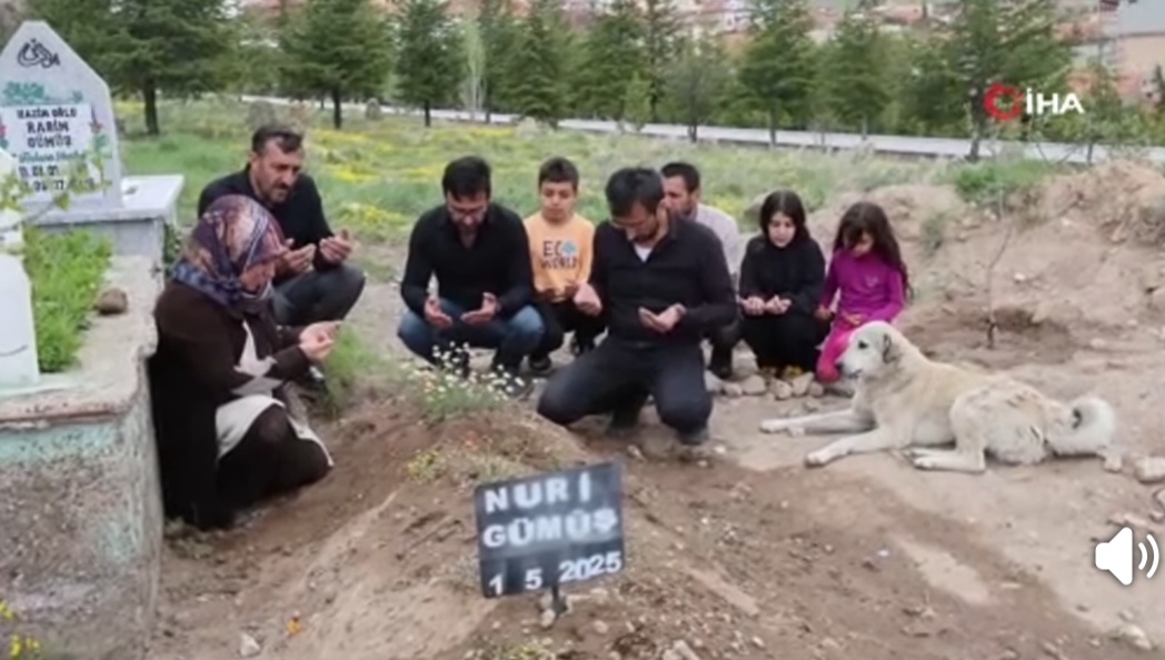 Nevşehir'de Vefa Örneği: ‘Garip' Sahibinin Mezarından Ayrılmıyor