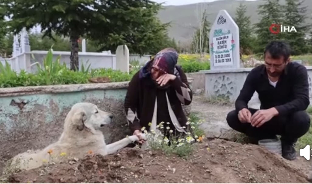 Nevşehir’de Vefa Örneği: ‘Garip’ Sahibinin Mezarından Ayrılmıyor