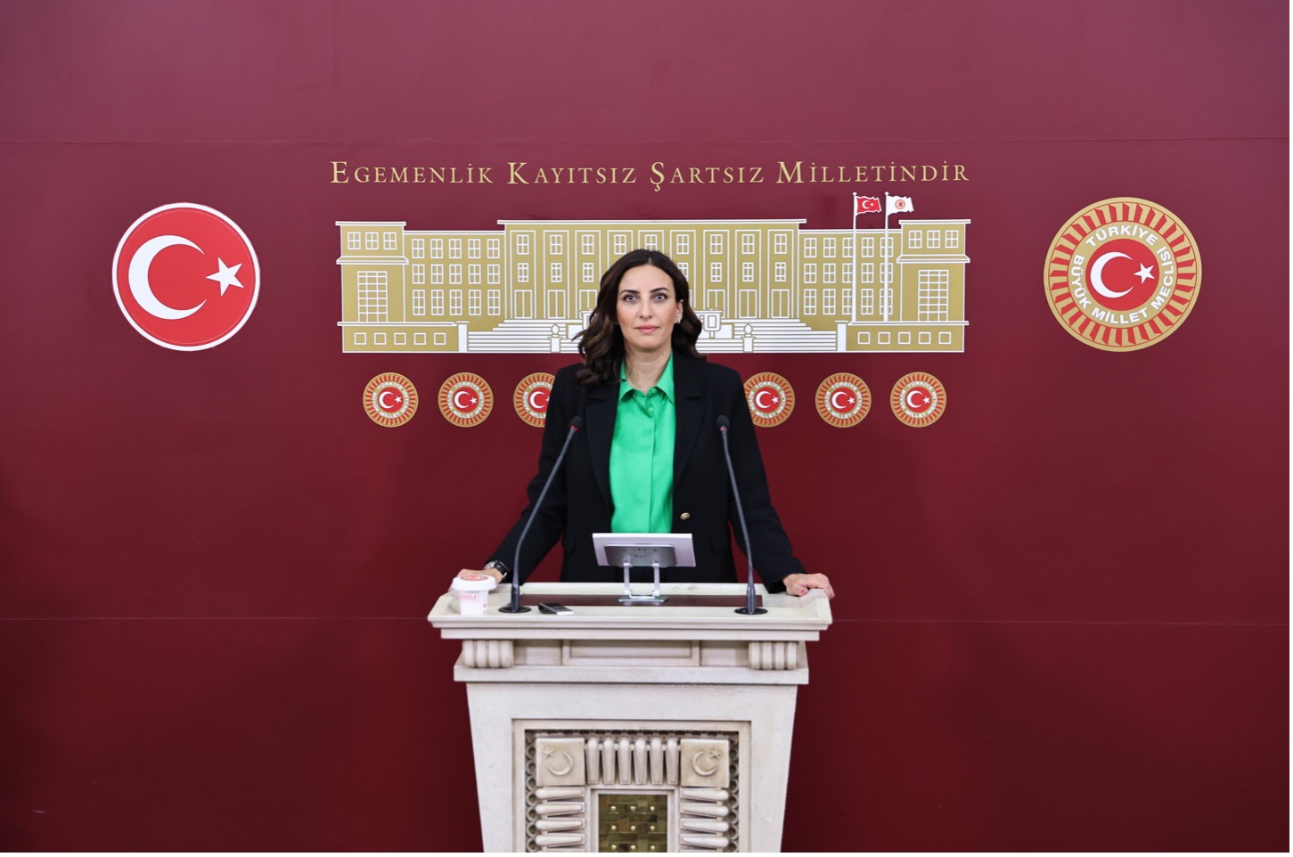 Sinop Boyabat’ta Planlanan Madencilik Projesi TBMM Gündeminde: DEVA Partisi’nden Çevre ve Yerleşim Alanları Uyarısı