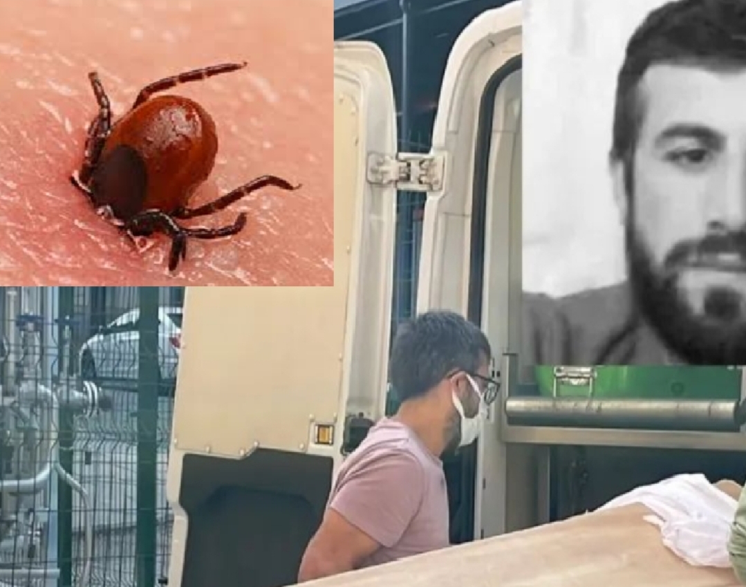 Sivas’ta Kene Isırığı Can Aldı: KKKA Nedeniyle Can Kaybı 6’ya Yükseldi