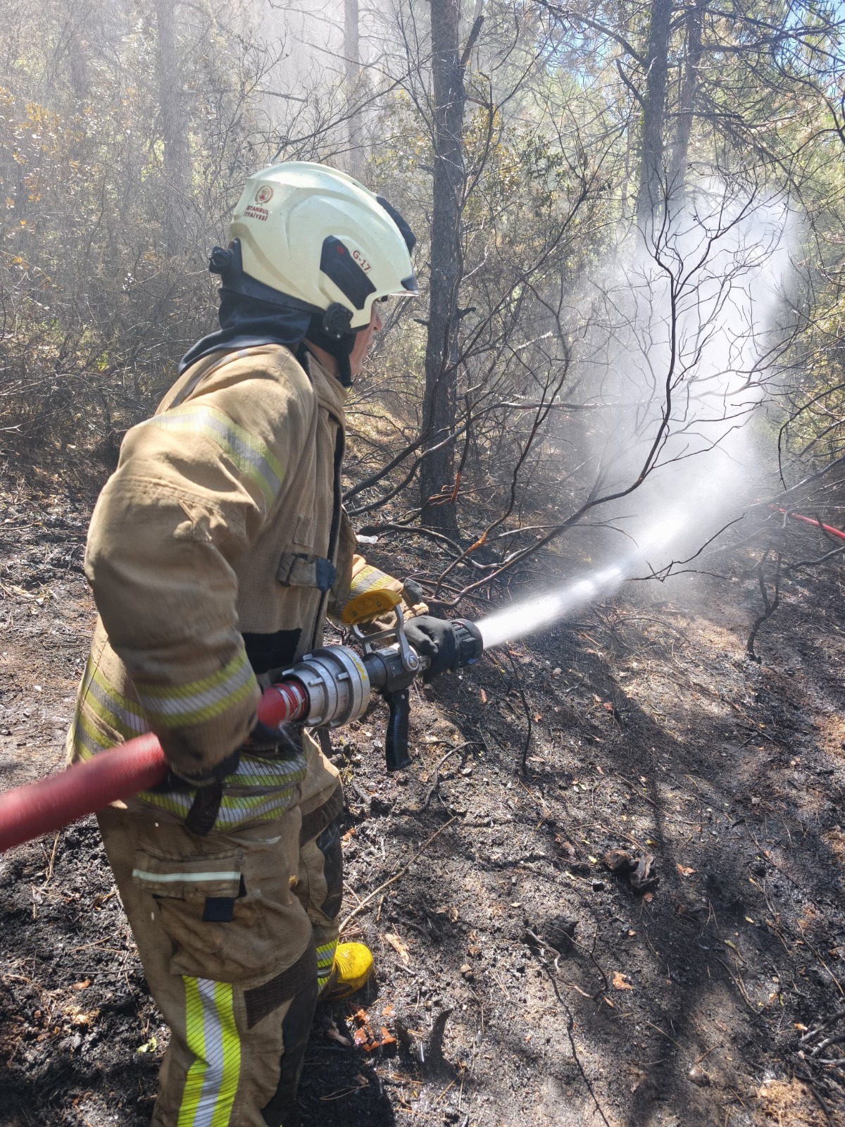 Sultangazi Hacı Bektaş-ı Veli Kent Ormanı’nda Yangın: İstanbul İtfaiyesi Kısmi Kontrol Sağladı